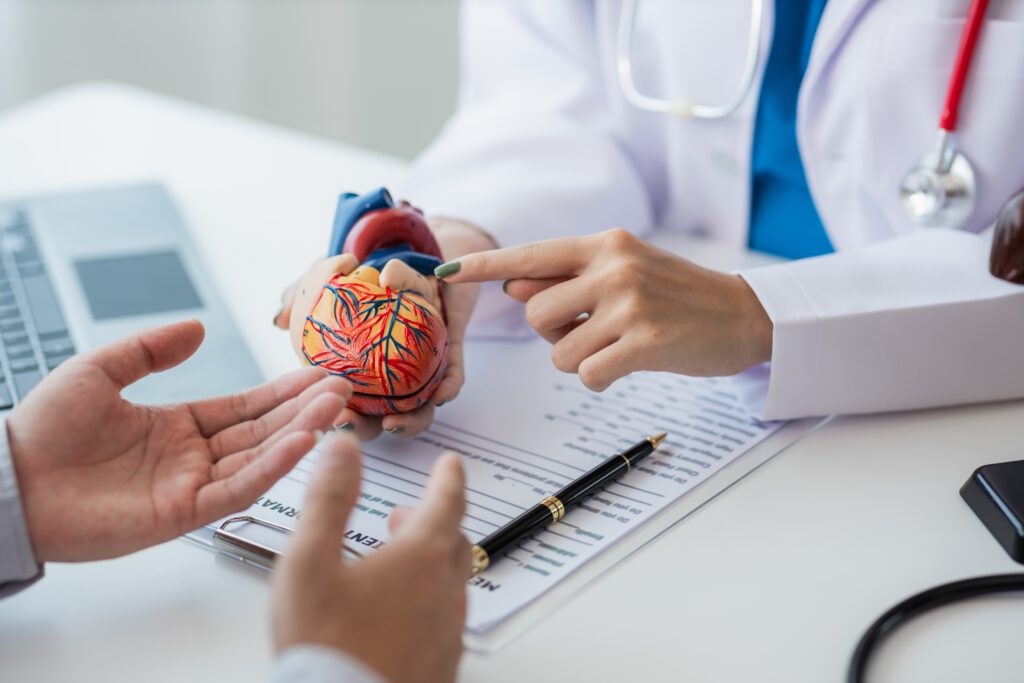 Image of scientist holding fake heart